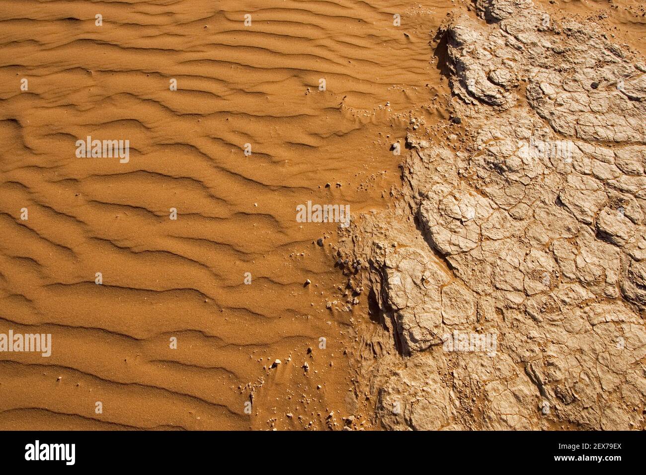 Structures avec sable et loam sec, désert du Namib, Namibie, structures avec sable et loam sec dans le désert du Namib, Afrique Banque D'Images