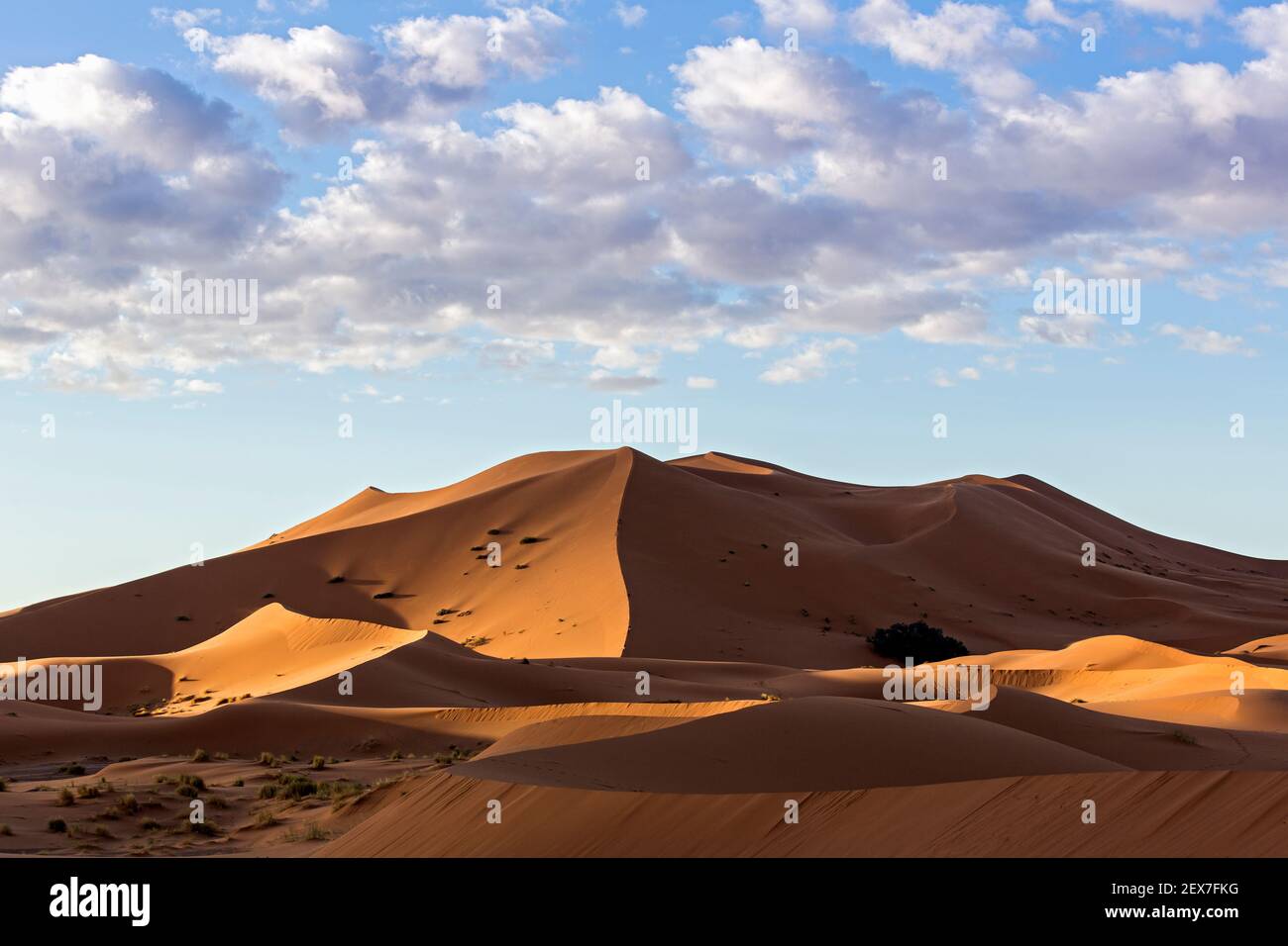Maroc, Merzouga, les dunes d'Erg Chebbi au lever du soleil, les dunes désertiques s'étendent sur 30 km et atteignent des hauteurs de 250 mètres Banque D'Images