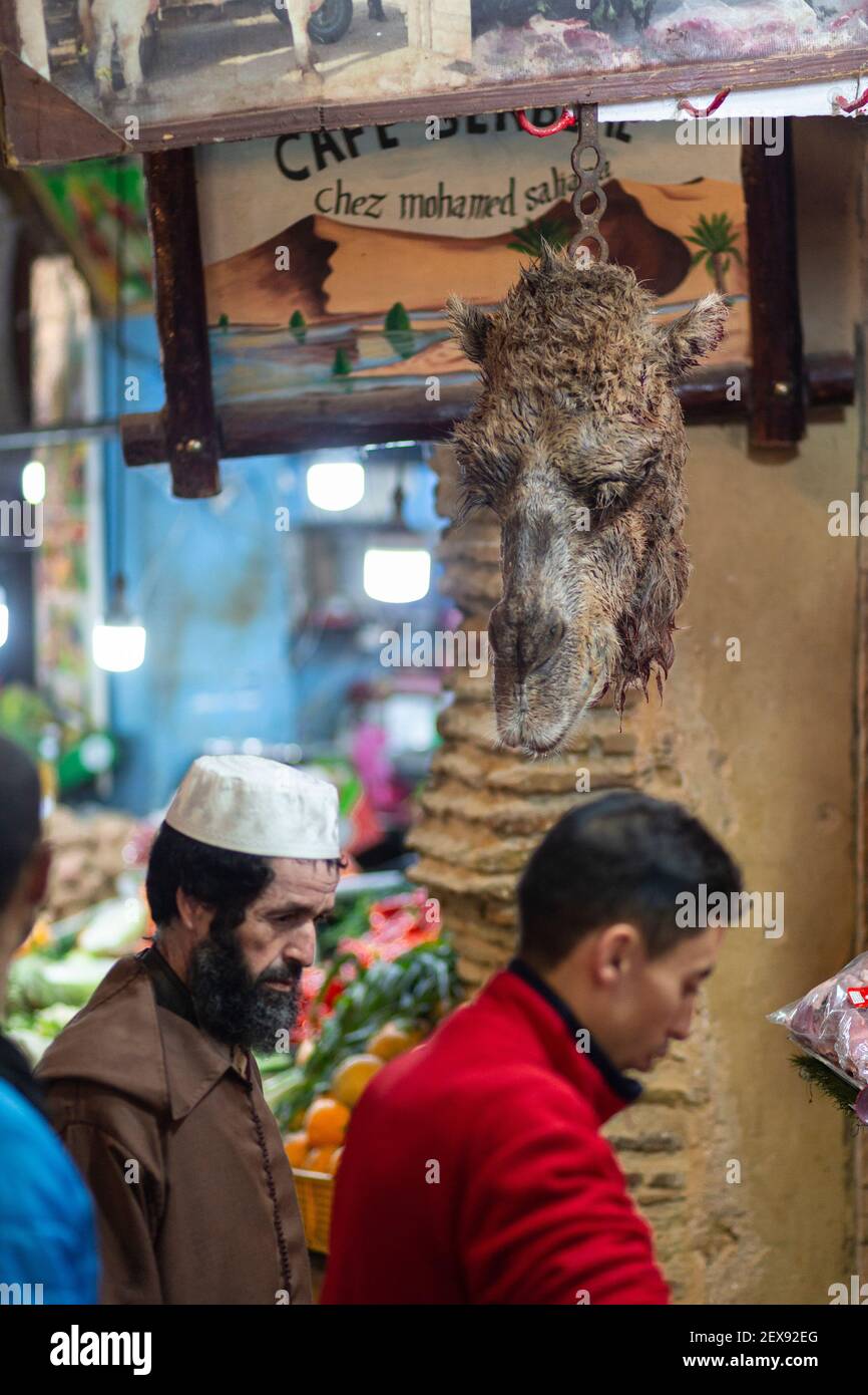Une tête de chameau décapitée suspendue au-dessus de deux hommes locaux dans une boucherie dans un marché (souq) dans la médina de Fès, au Maroc Banque D'Images Une tête de chameau décapitée suspendue au-dessus de deux hommes locaux dans une boucherie dans un marché (souq) dans la médina de Fès, au Maroc Banque D'Images