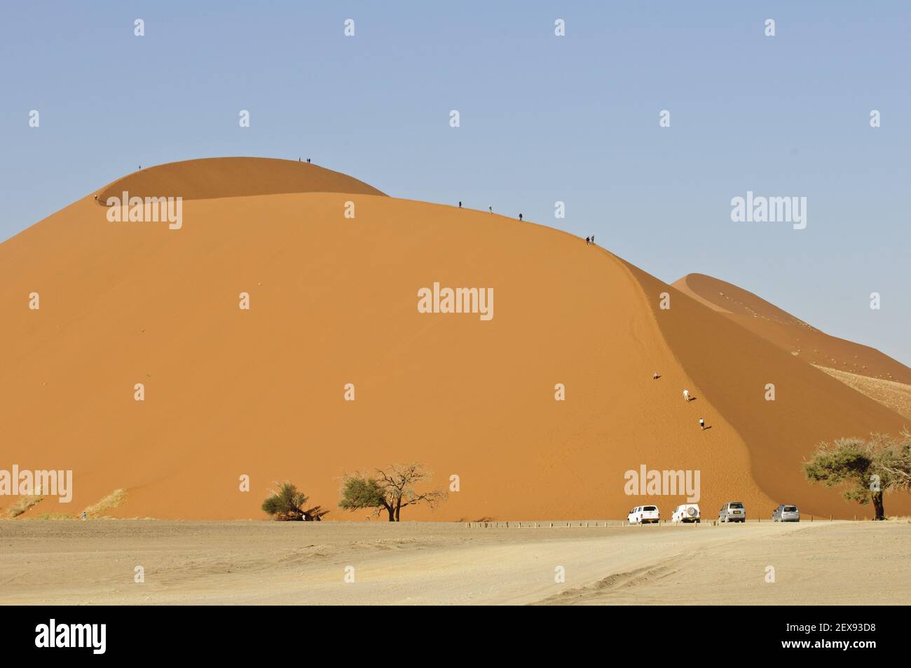 Dune 45 Banque D'Images