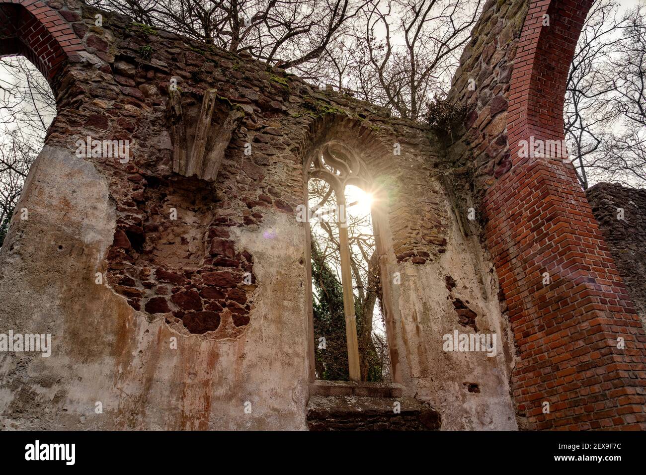 Le monastère Pauline ruine les fenêtres sur le sentier de randonnée hongrois près de Badacsony à Salfold . Banque D'Images