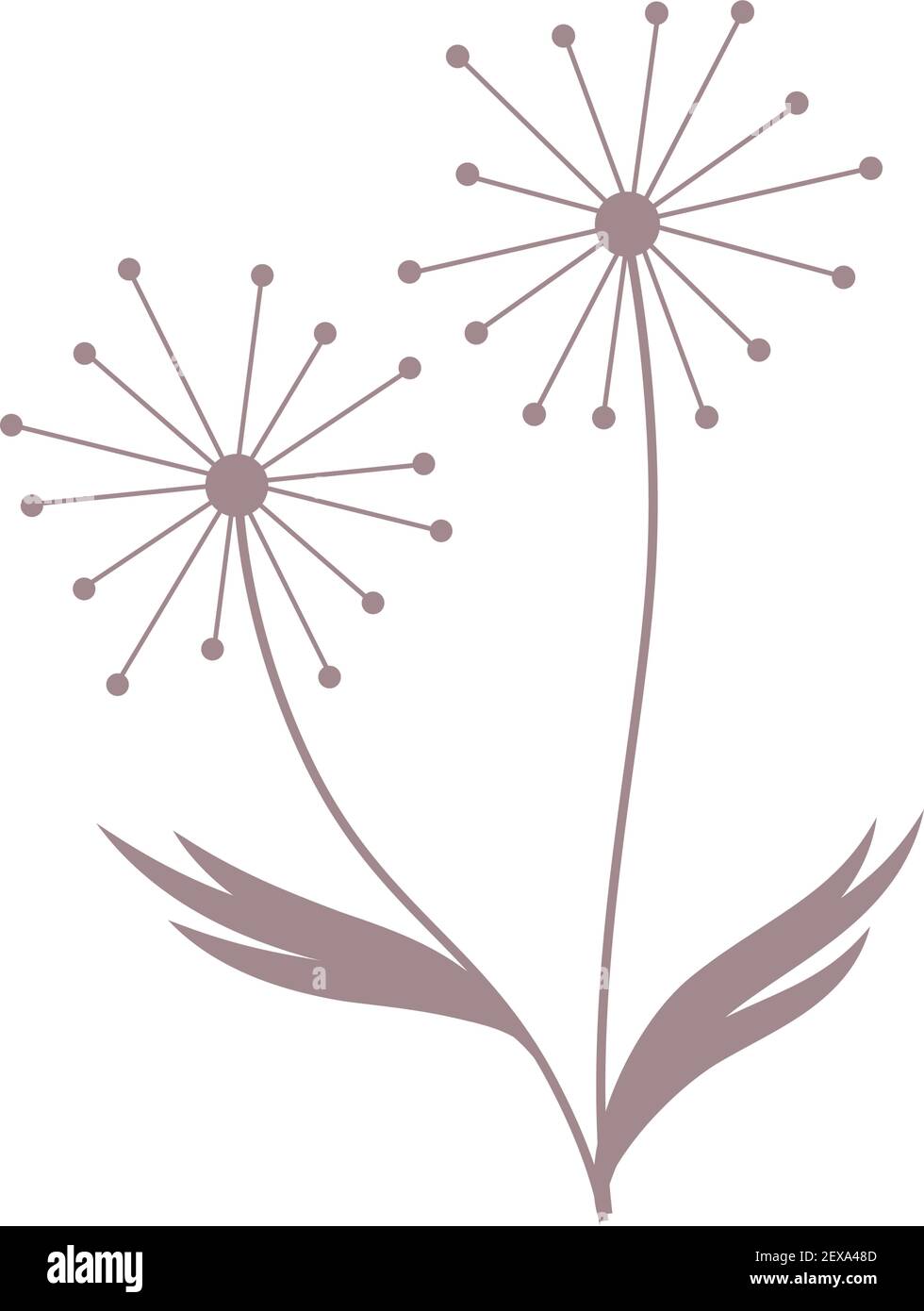 Pissenlit fleur, vector Illustration de Vecteur