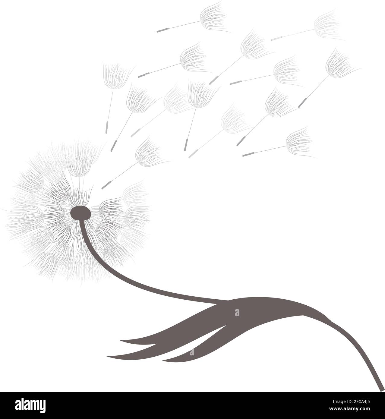 Pissenlit fleur, vector Illustration de Vecteur