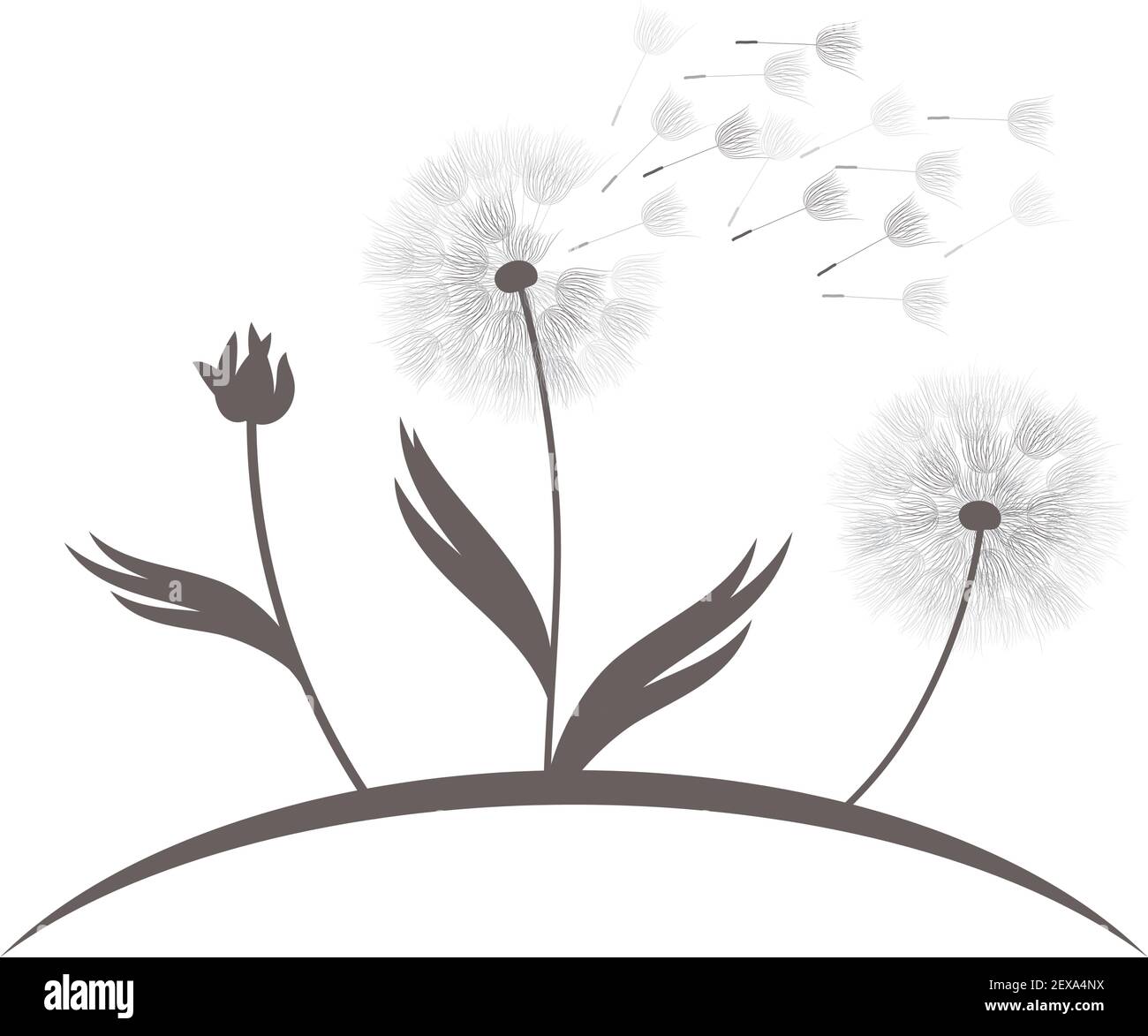 Pissenlit fleur, vector Illustration de Vecteur