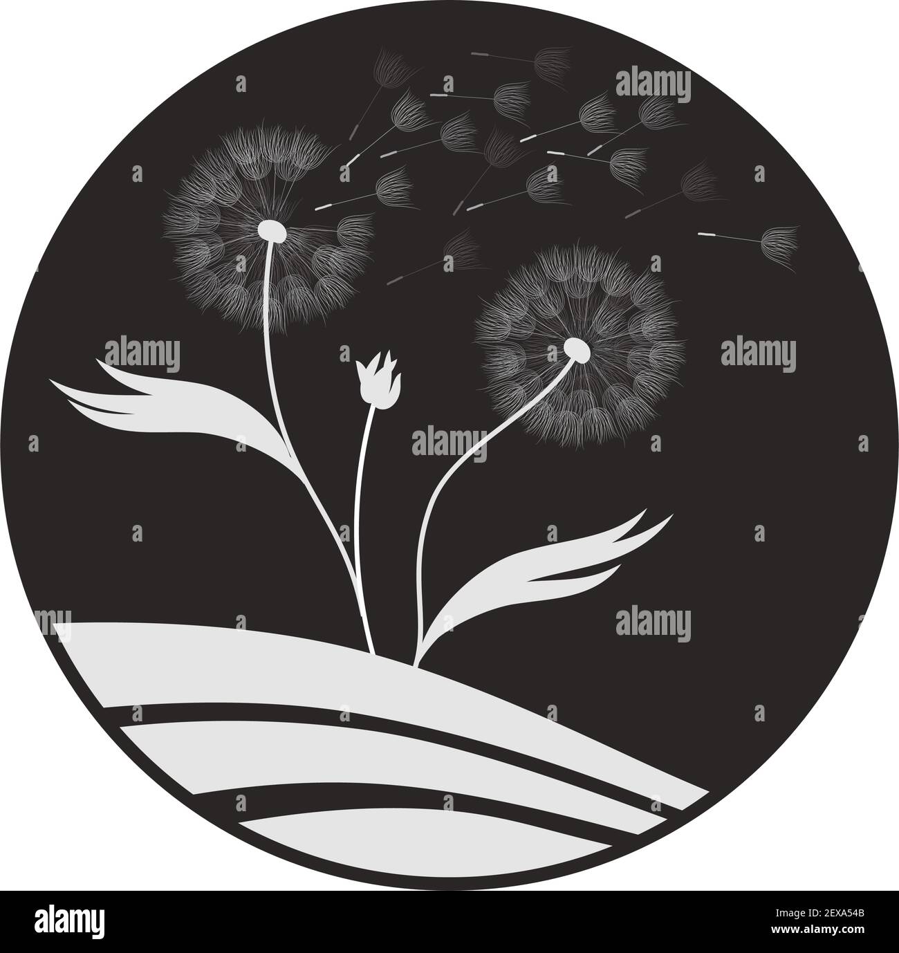 Pissenlit fleur, vector Illustration de Vecteur