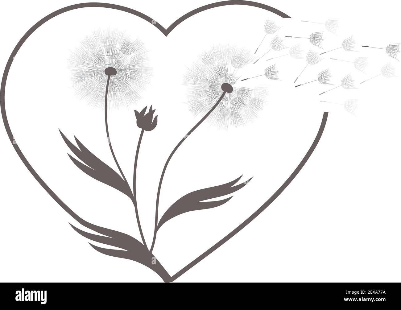 Pissenlit fleur, vector Illustration de Vecteur