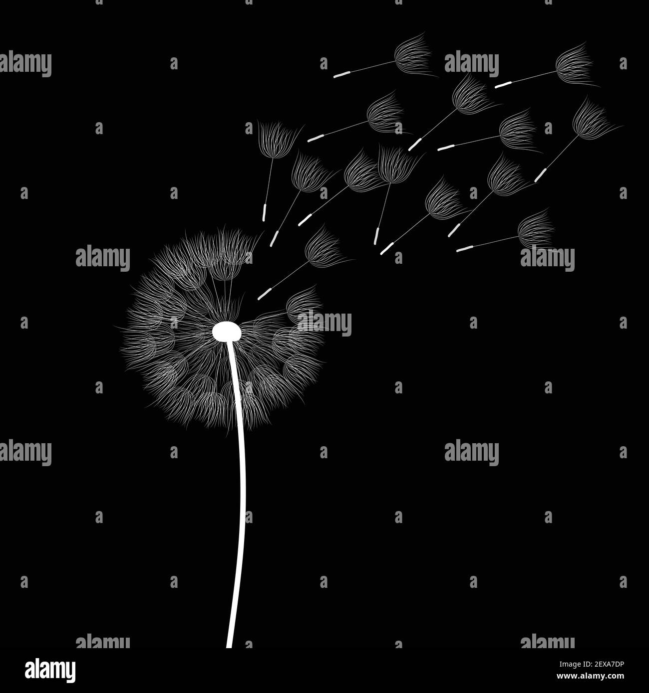 Pissenlit fleur, vector Illustration de Vecteur