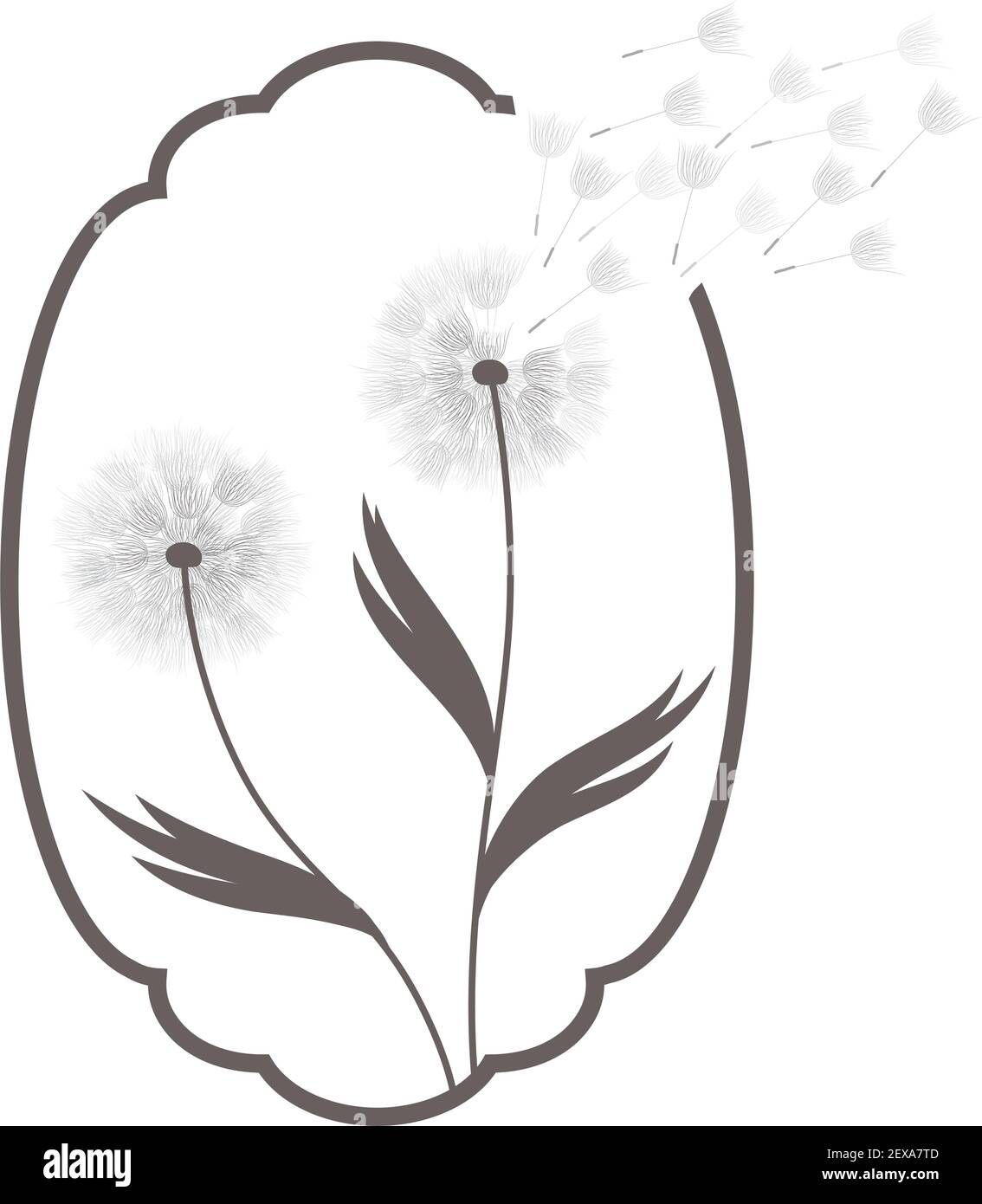 Pissenlit fleur, vector Illustration de Vecteur