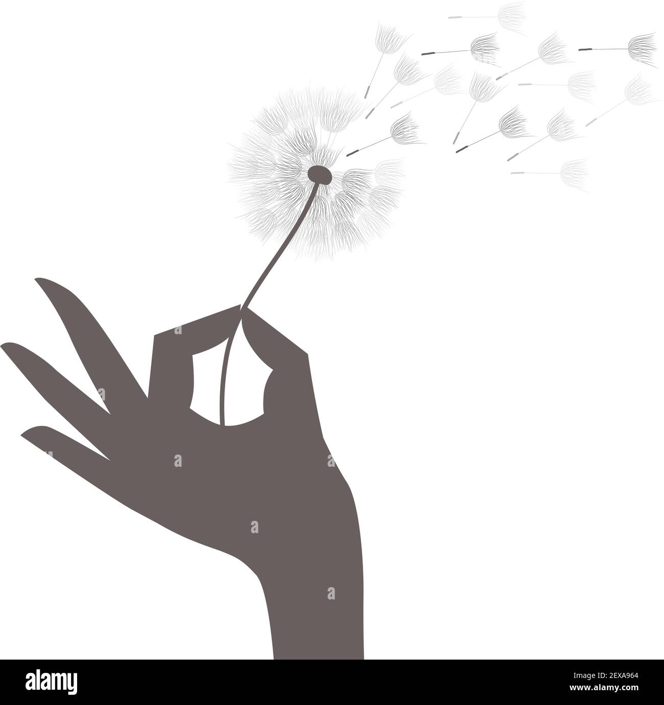 Pissenlit fleur, vector Illustration de Vecteur