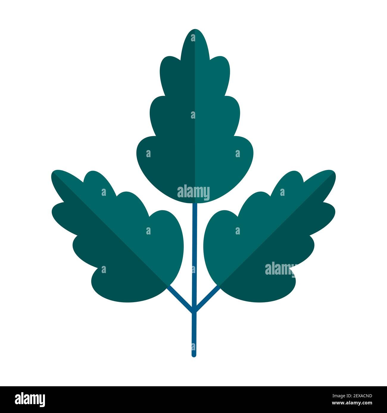 Simple branche verte minimaliste de chêne avec feuilles. Collection florale de plantes élégantes pour la décoration de saison . Icônes stylisées de la botanique. Stoc Illustration de Vecteur