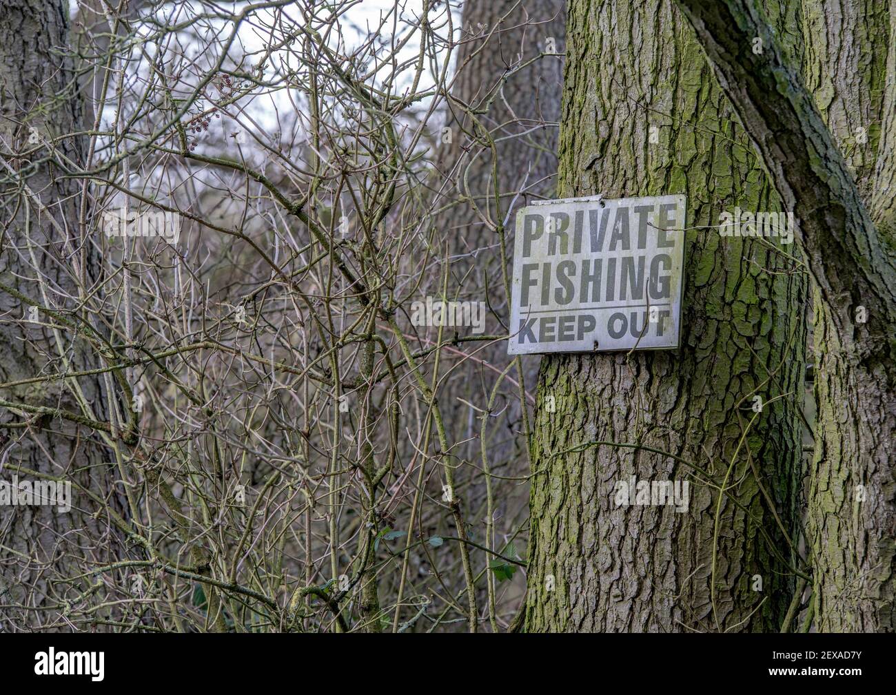 Un panneau en bois noir et blanc attaché à un grand arbre avec les mots pêche privée tenir dehors sur lui. Banque D'Images