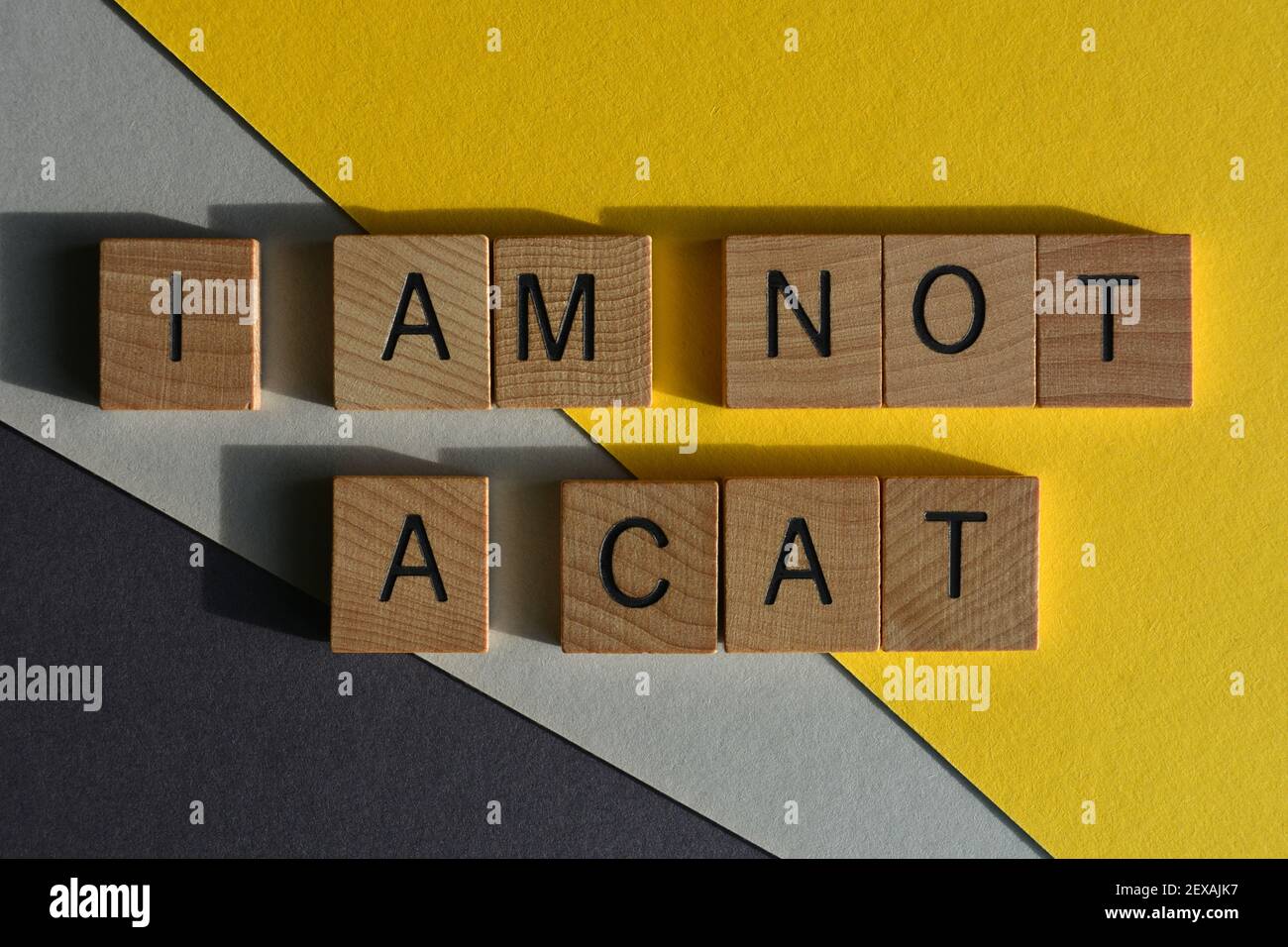 Je ne suis pas UN chat, une phrase en lettres de l'alphabet de bois isolées sur fond gris et jaune Banque D'Images
