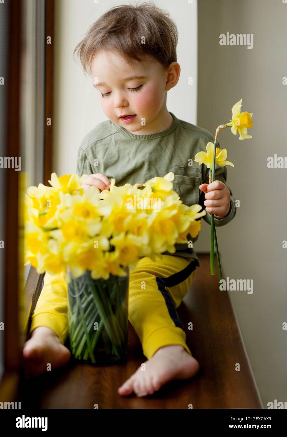 Portrait d'un tout-petit mignon en forme de narcissus de printemps jaune fleurs Banque D'Images