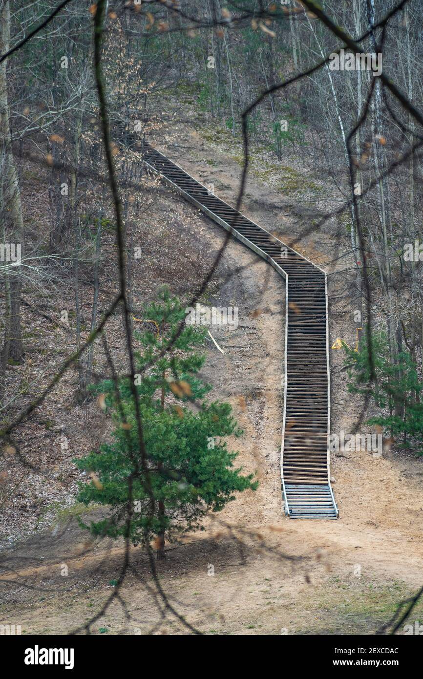 L'escalier en bois monte la colline entre les arbres dans un parc, des bois ou une forêt à la fin de l'hiver ou au début du printemps, à la verticale Banque D'Images