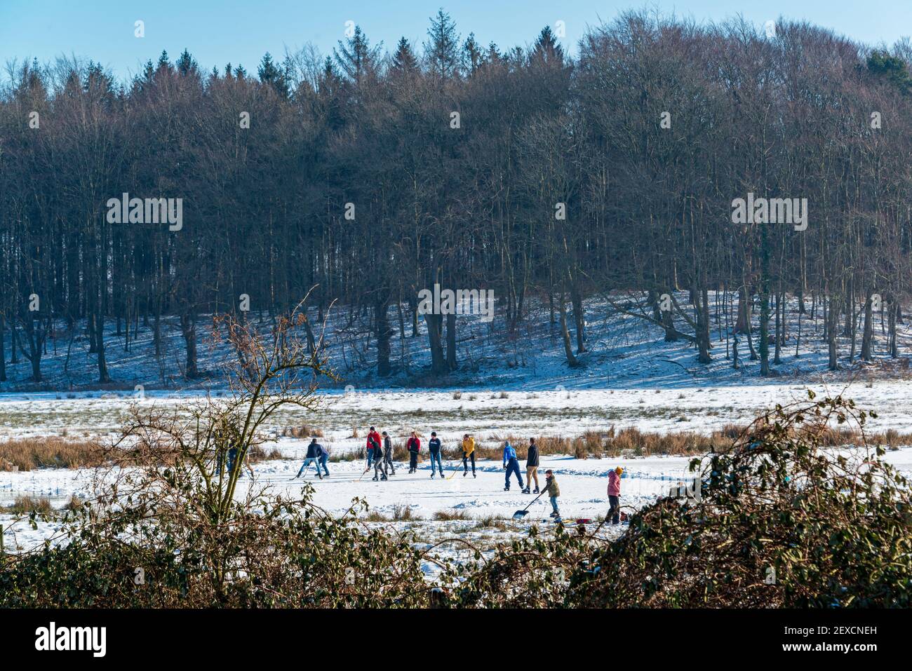 Winterliche Impressionen aus Schleswig-Holstein mit EIS und Schnee im kalten Norden Banque D'Images