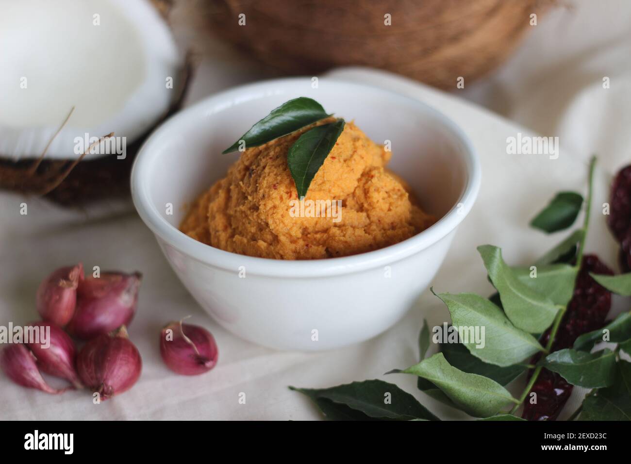 Chutney à la noix de coco maison avec chiley rouge pour aller avec dosa et sans rien, un plat indien du sud principal. Prise de vue sur fond blanc Banque D'Images