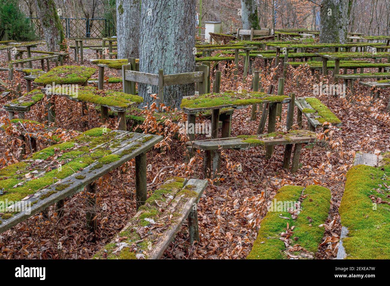 Place perdue, jardin de bière surcultivé avec des zones assises mossy, Gasthof Obermuehltal, Bavière, Allemagne, Europe Banque D'Images