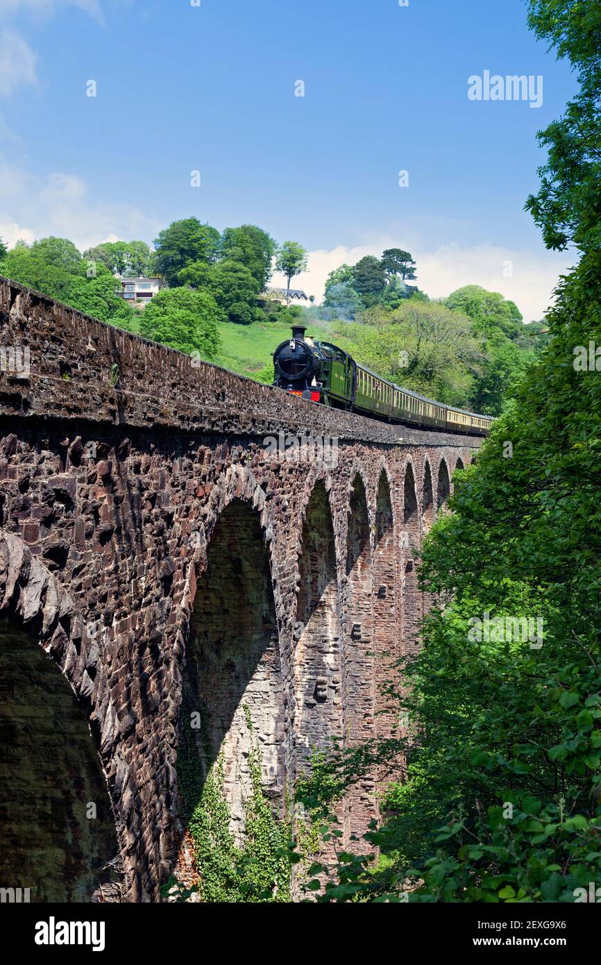 Angleterre, Devon, GWR Steam Locomotive no 4277 « Hercules » traversant le viaduc de Greenway sur le Dartmouth Steam Railway Banque D'Images