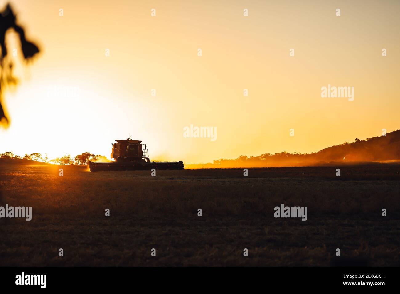 Une belle photo d'une moissonneuse-batteuse dans un champ au coucher du soleil Banque D'Images
