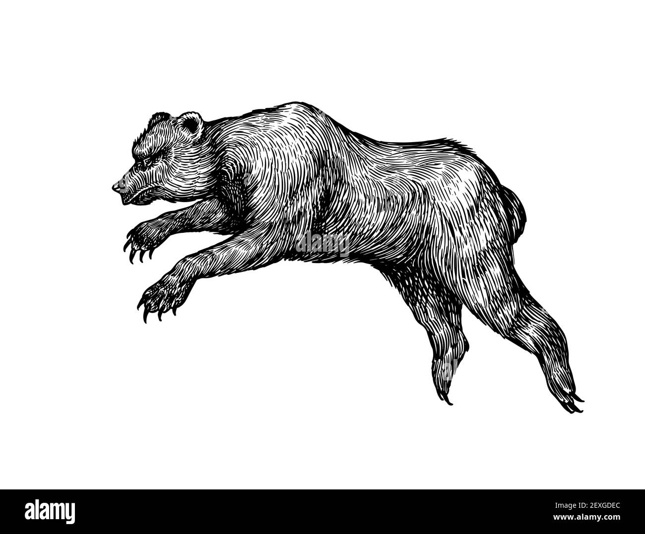 Ours troglodyte. Animal brun éteint. Illustration rétro vintage. Style Doodle. Esquisse gravée dessinée à la main Illustration de Vecteur