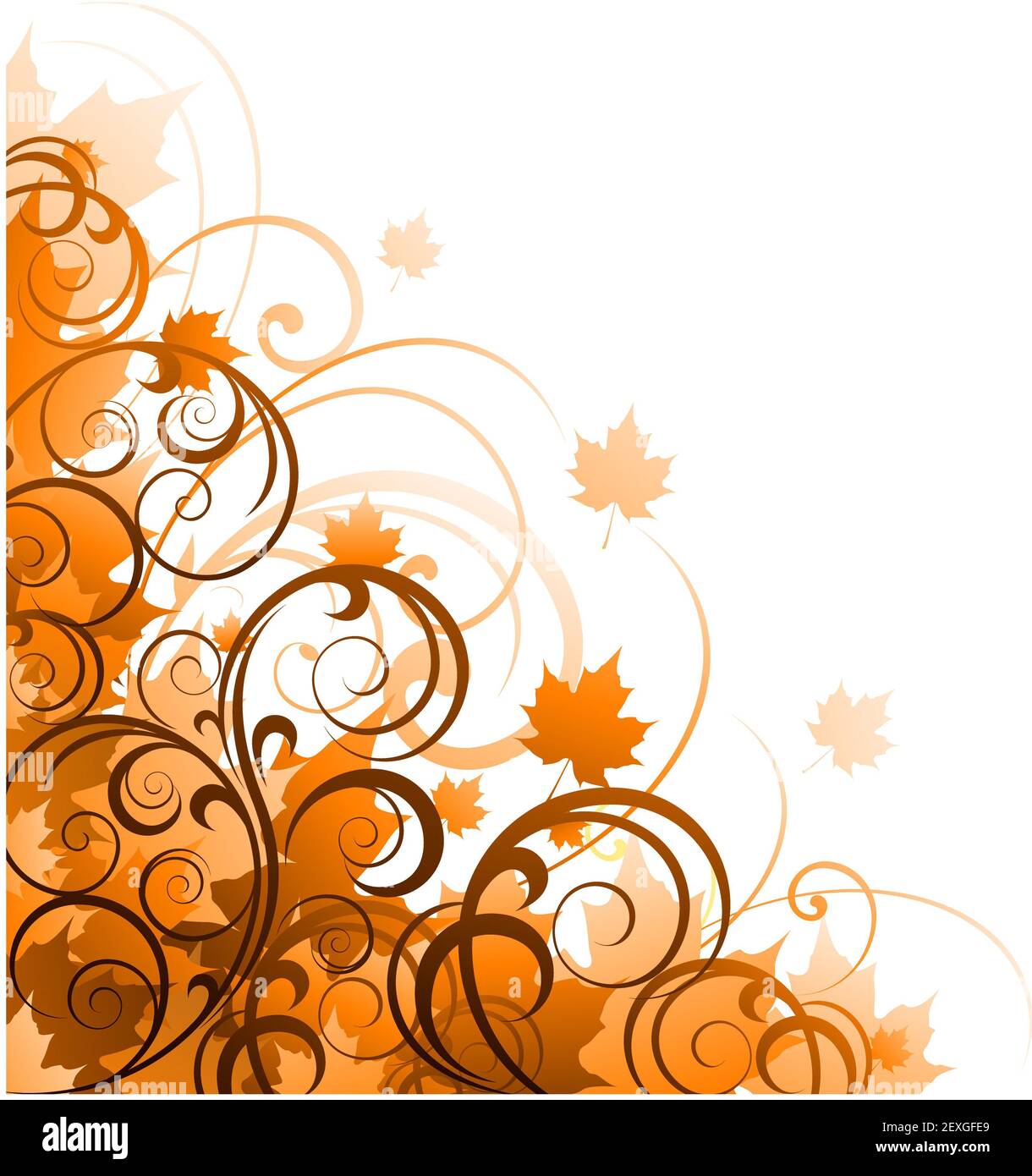 Faites défiler l'ornement floral forme Banque D'Images