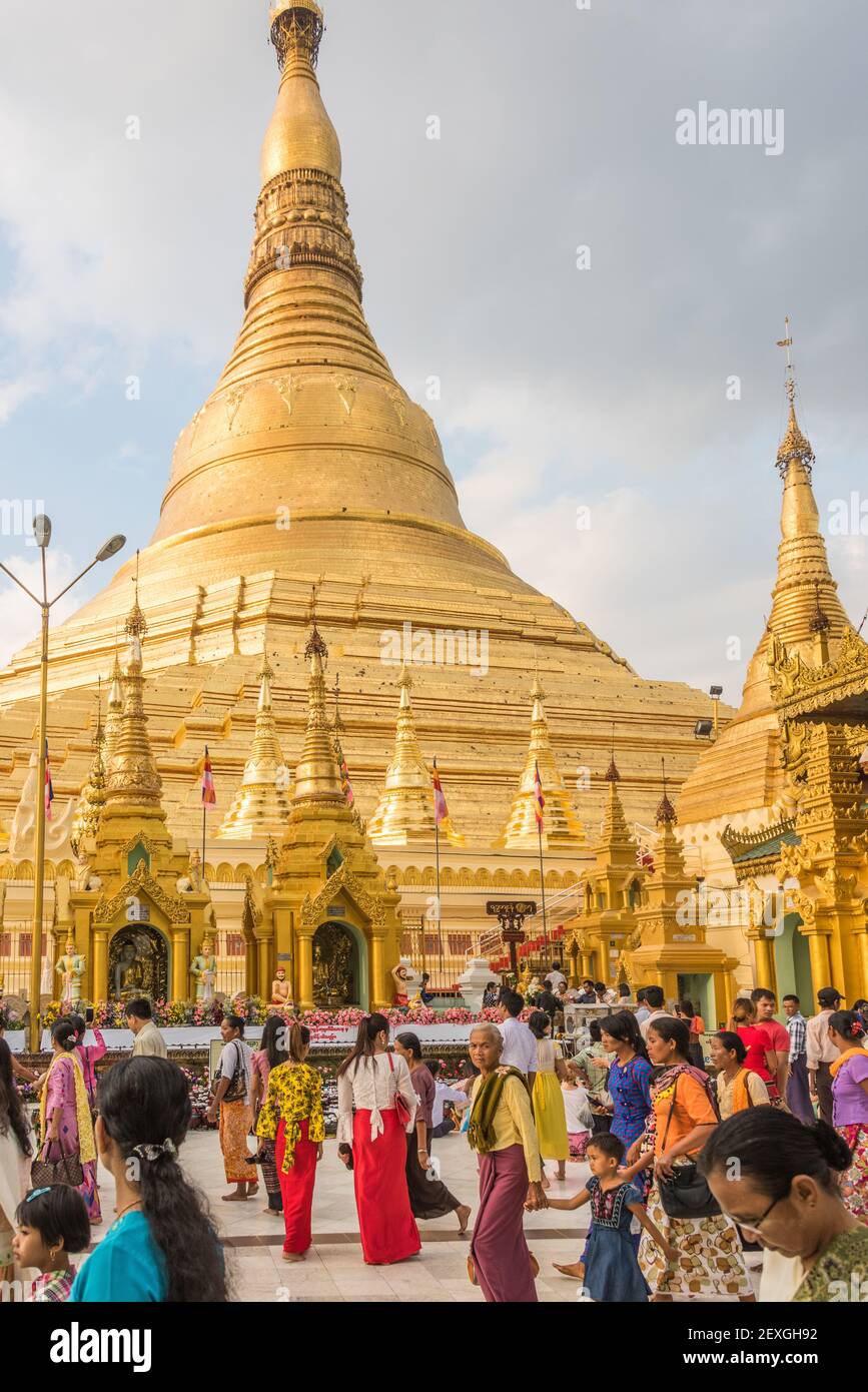 La Pagode Shwedagon pagode Shwedagon (Ynsentix Daw) Yangon, Myanmar (Birmanie) Banque D'Images