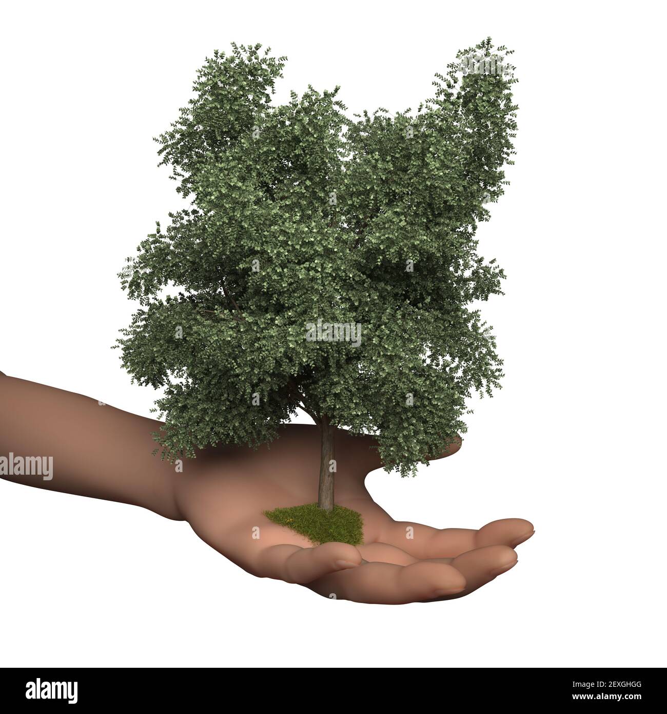 Arbre dans la main Banque D'Images