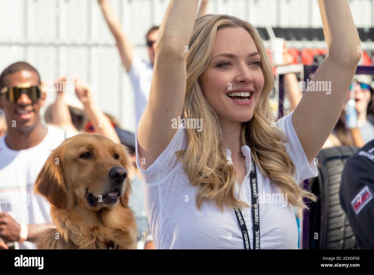 AMANDA SEYFRIED, L'ART DE LA COURSE SOUS LA PLUIE, 2019 Banque D'Images