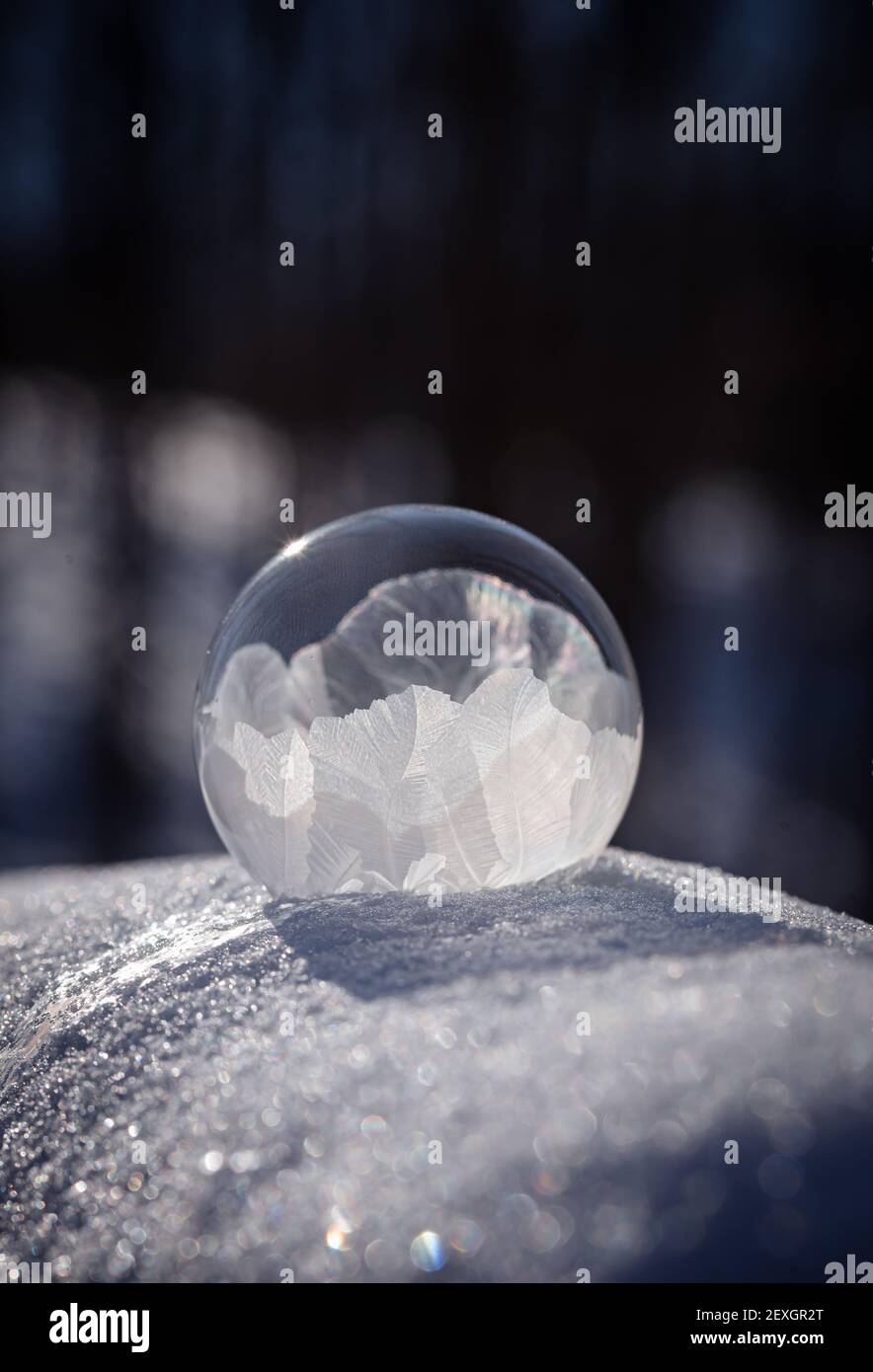Gros plan de la bulle de savon surgelée sur la neige avec un arrière-plan sombre. Banque D'Images