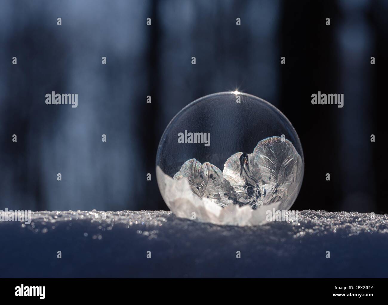 Gros plan de la bulle de savon surgelée sur la neige avec un arrière-plan sombre. Banque D'Images