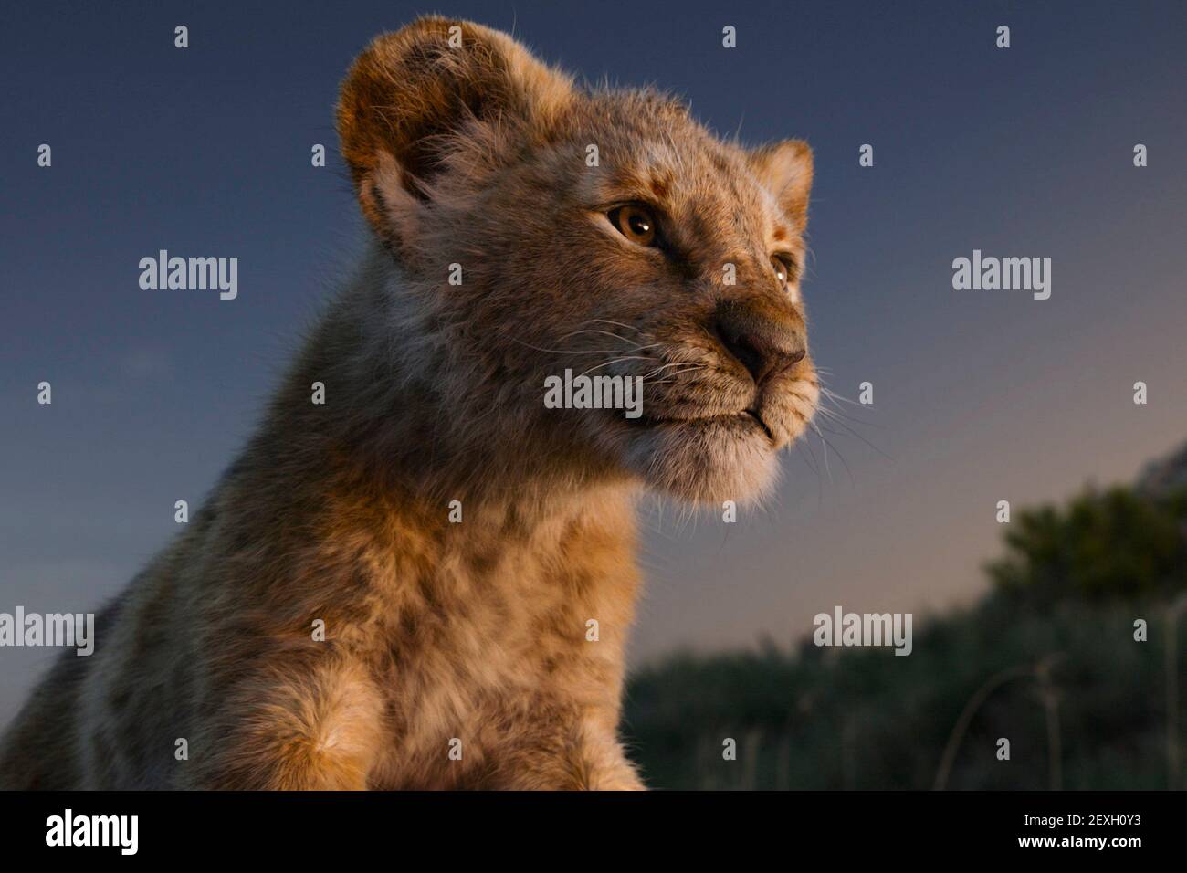 Le roi lion 3d Banque de photographies et d'images à haute résolution -  Alamy