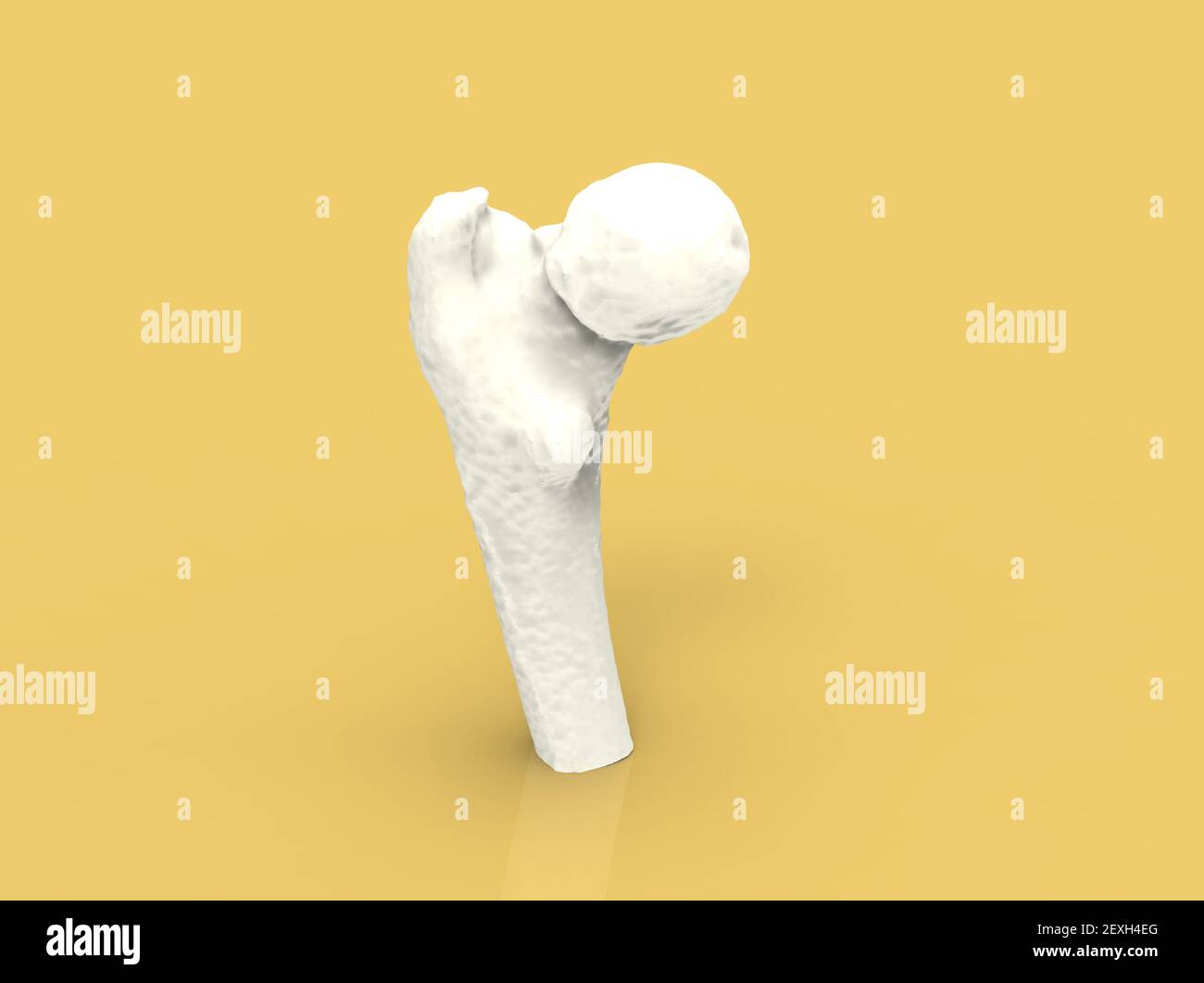 Modèle d'os humain, fémur, rendu 3D Banque D'Images