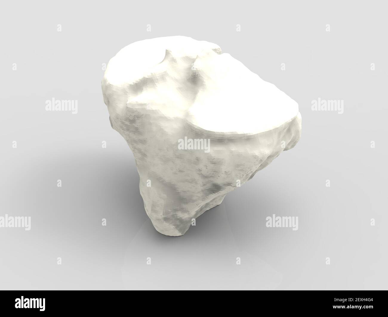 Modèle d'os humain, partie du genou, tibia, rendu 3D Banque D'Images