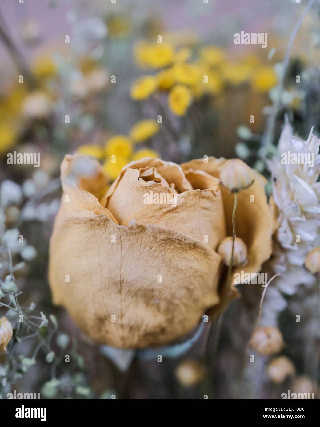 Un cliché vertical de roses séchées dans un bouquet de fleurs sauvages avec un arrière-groupage flou]] Banque D'Images