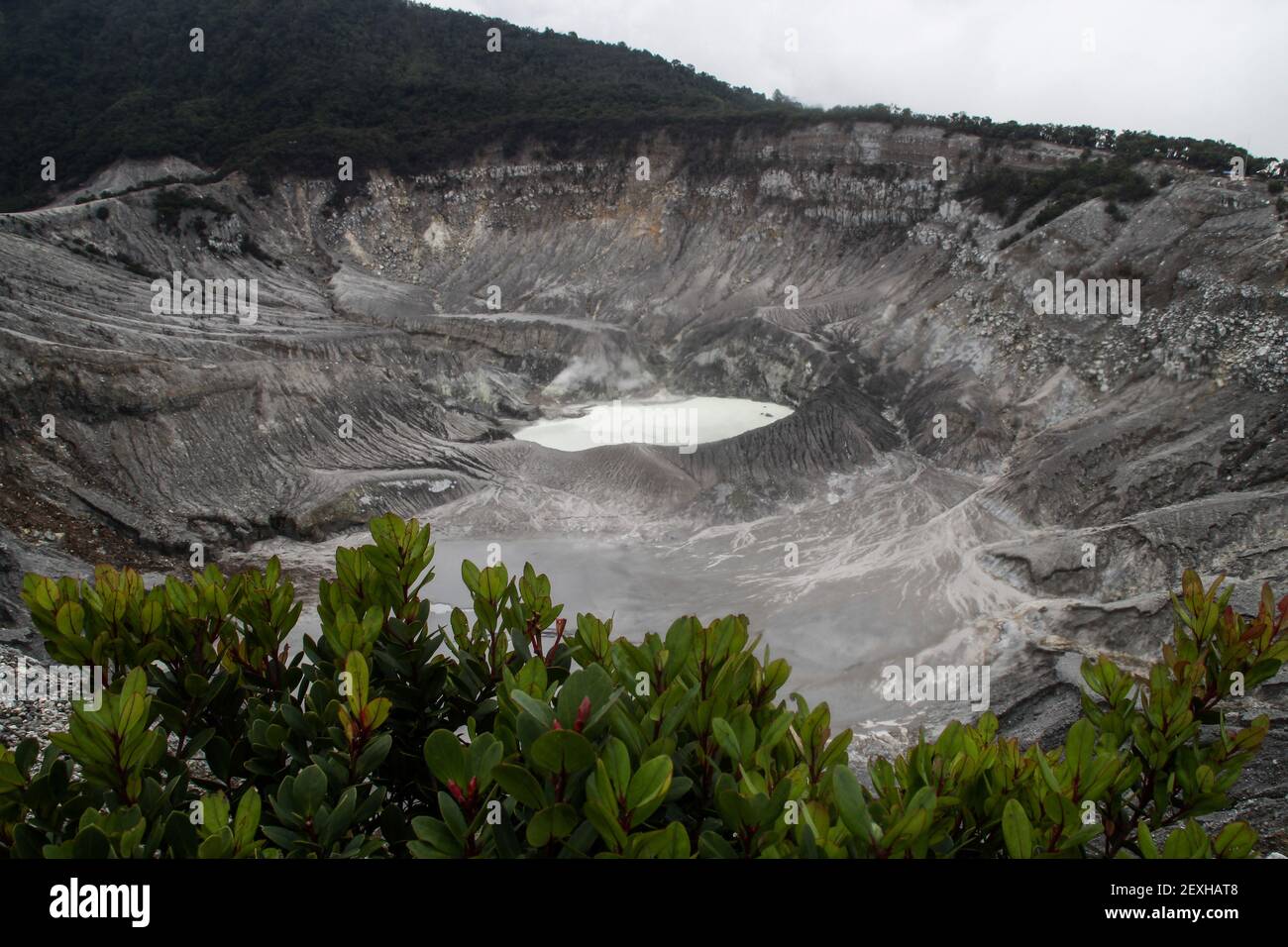 Bandung, Indonésie. 04e mars 2021. Vue d'un cratère actif au volcan du mont Tangkuban Perahu pendant la pandémie du coronavirus. Le parc touristique de la nature Tangkuban Perahu Mountain a enregistré une diminution drastique du nombre de touristes jusqu'à 70 pour cent chaque jour en raison de la pandémie du virus Corona (Covid-19). Crédit : SOPA Images Limited/Alamy Live News Banque D'Images