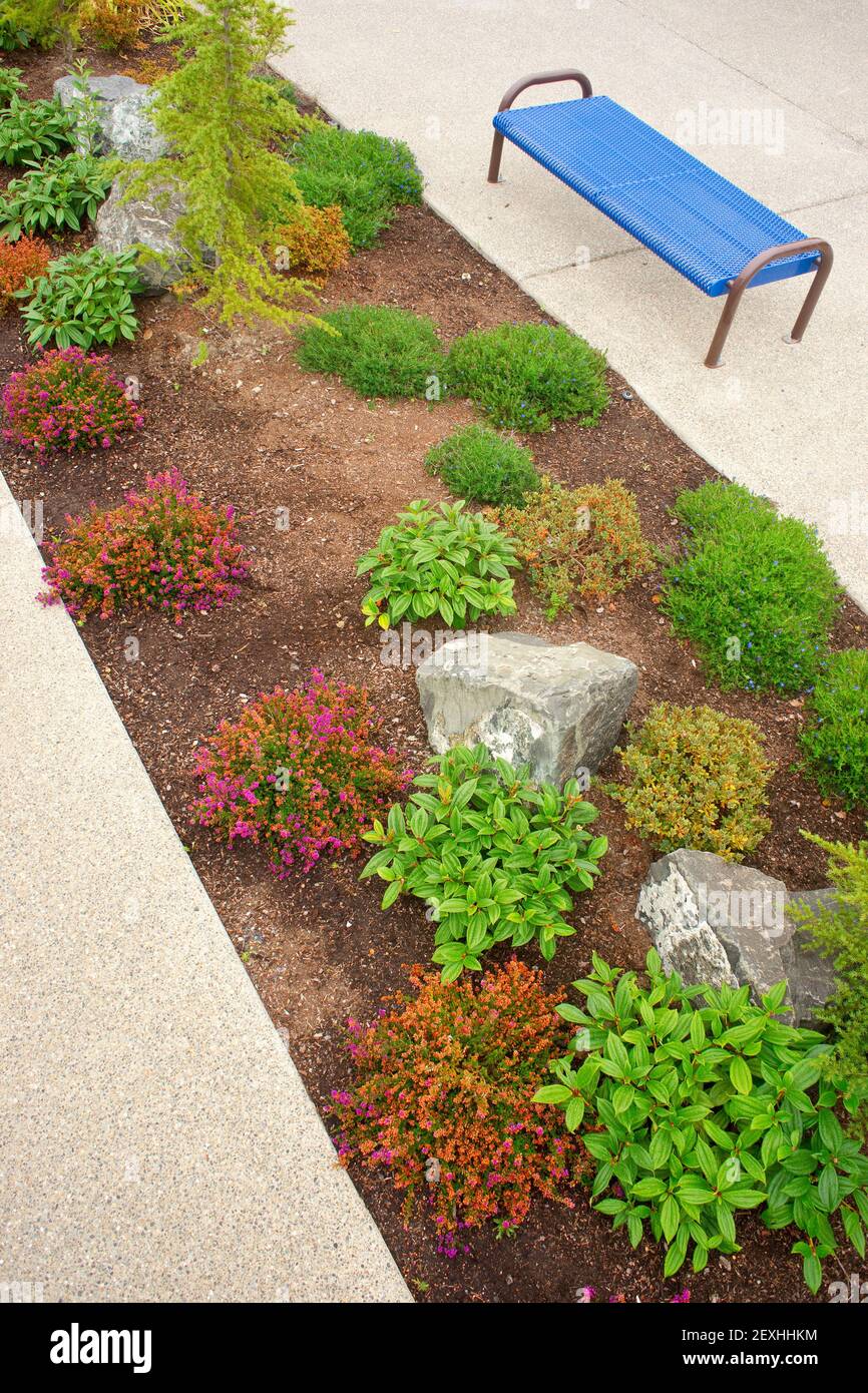 La bande de terre verticale paysage banc allée d'arbustes trottoir Banque D'Images