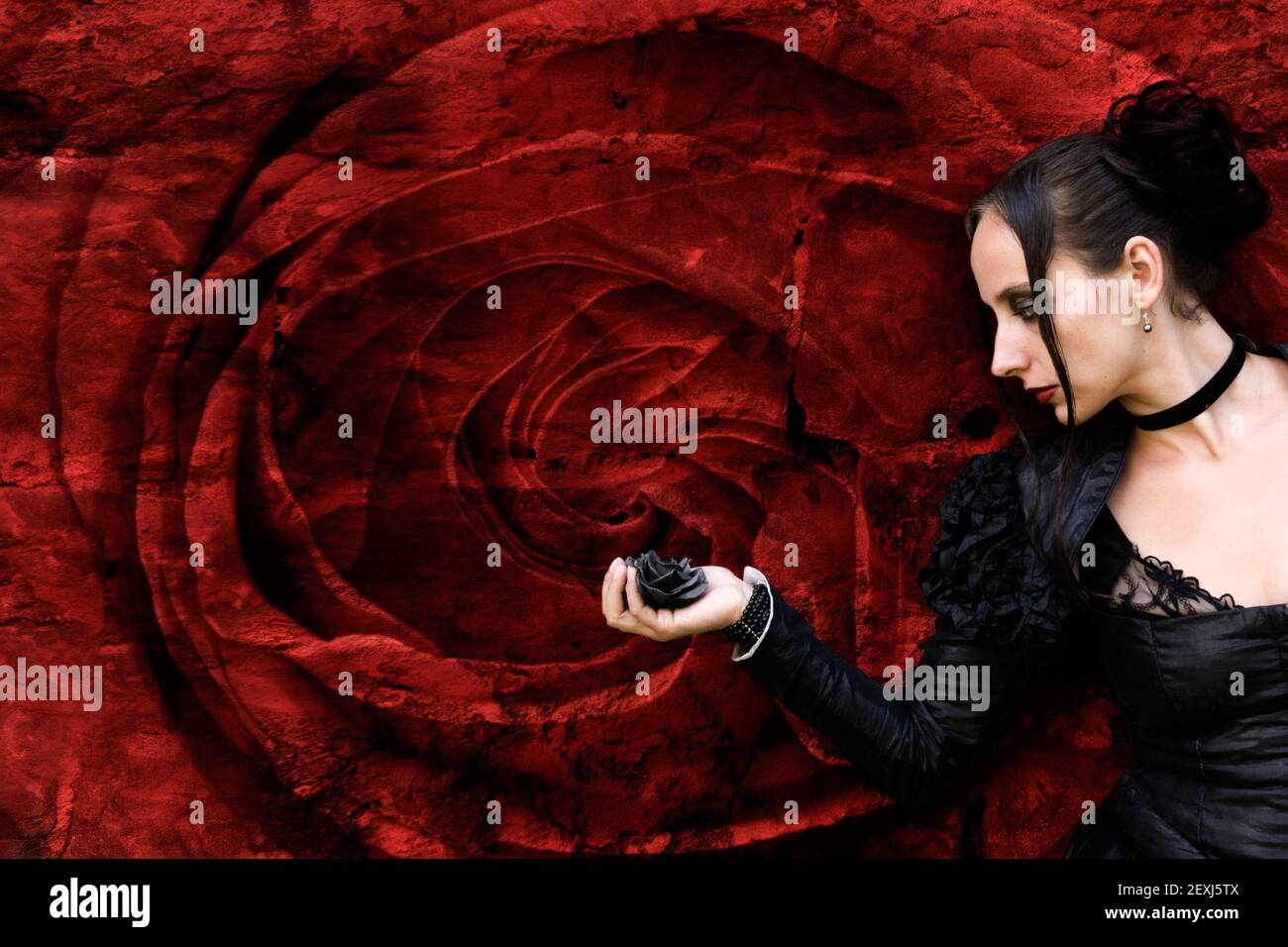 Rose Noire Banque D'Images