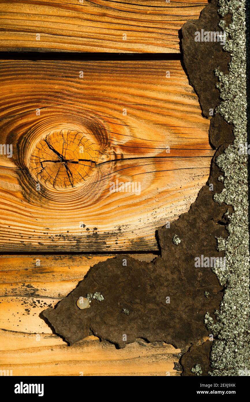 Carte de pin noueux bois abîmé Shingle Shingle Roofing Siding House Banque D'Images