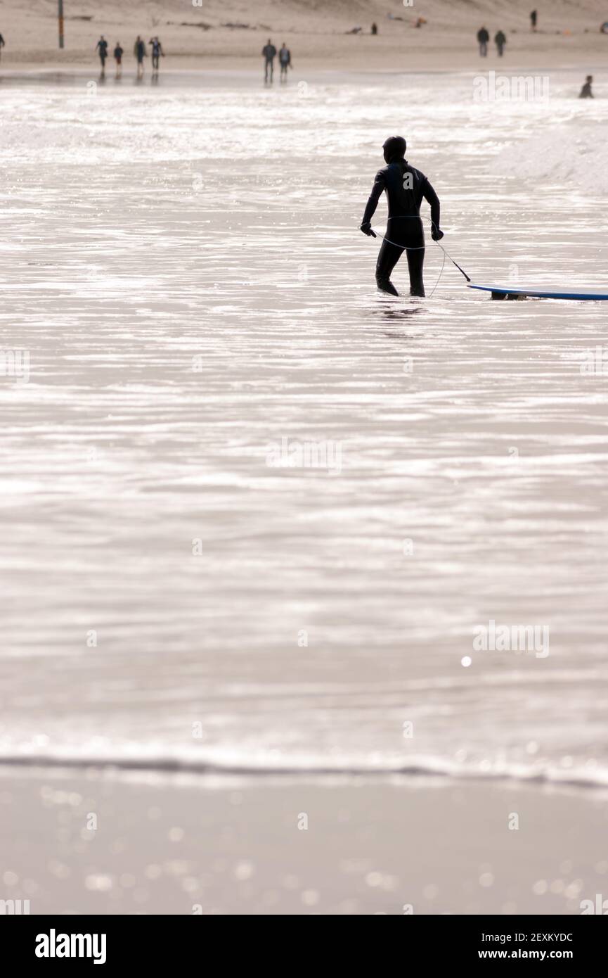 Surfer Wearing Wetsuit Tire Surf Board Après Session de surf Banque D'Images