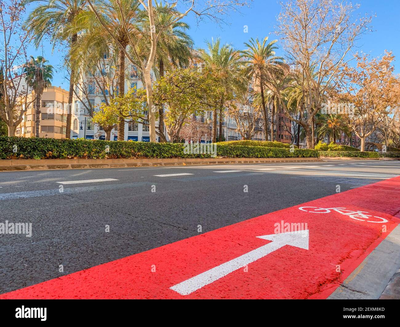 Belle vue sur l'avenue principale et la piste cyclable dans le centre de la ville de Valence, Espagne Banque D'Images