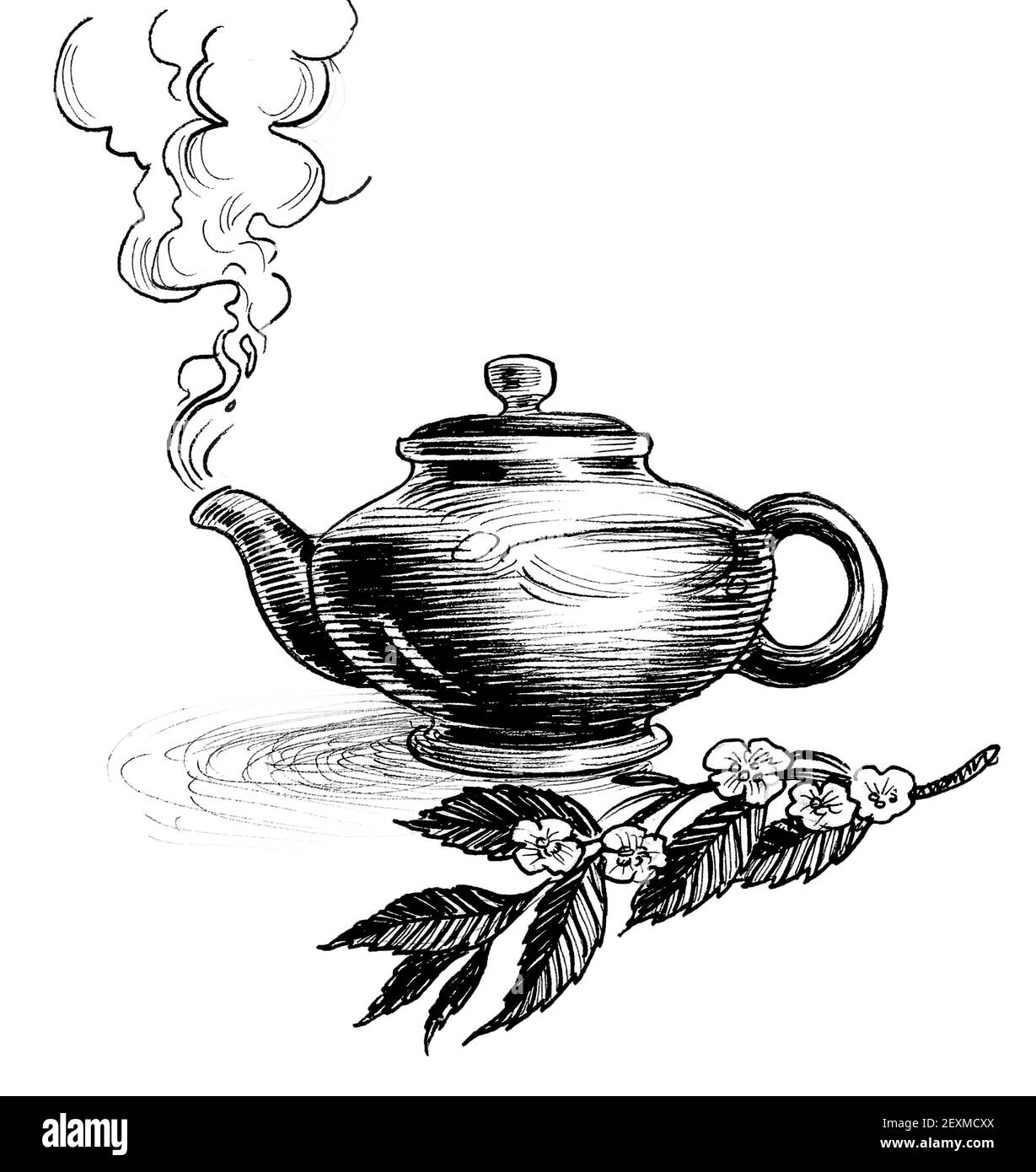 Théière chaude et branche de l'usine de thé. Dessin noir et blanc Banque D'Images