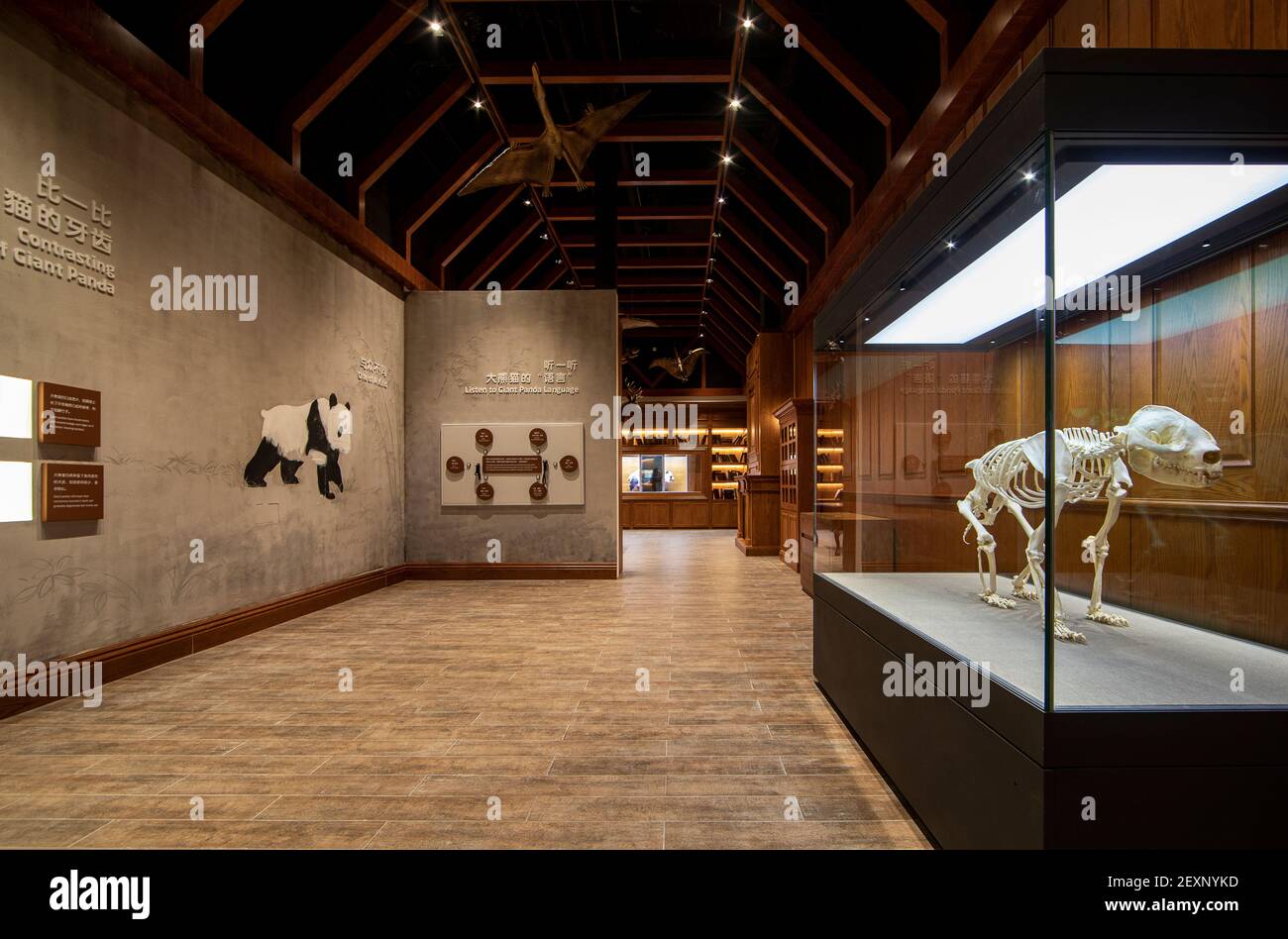 Un musée interactif sur le thème du panda géant, le premier du genre au