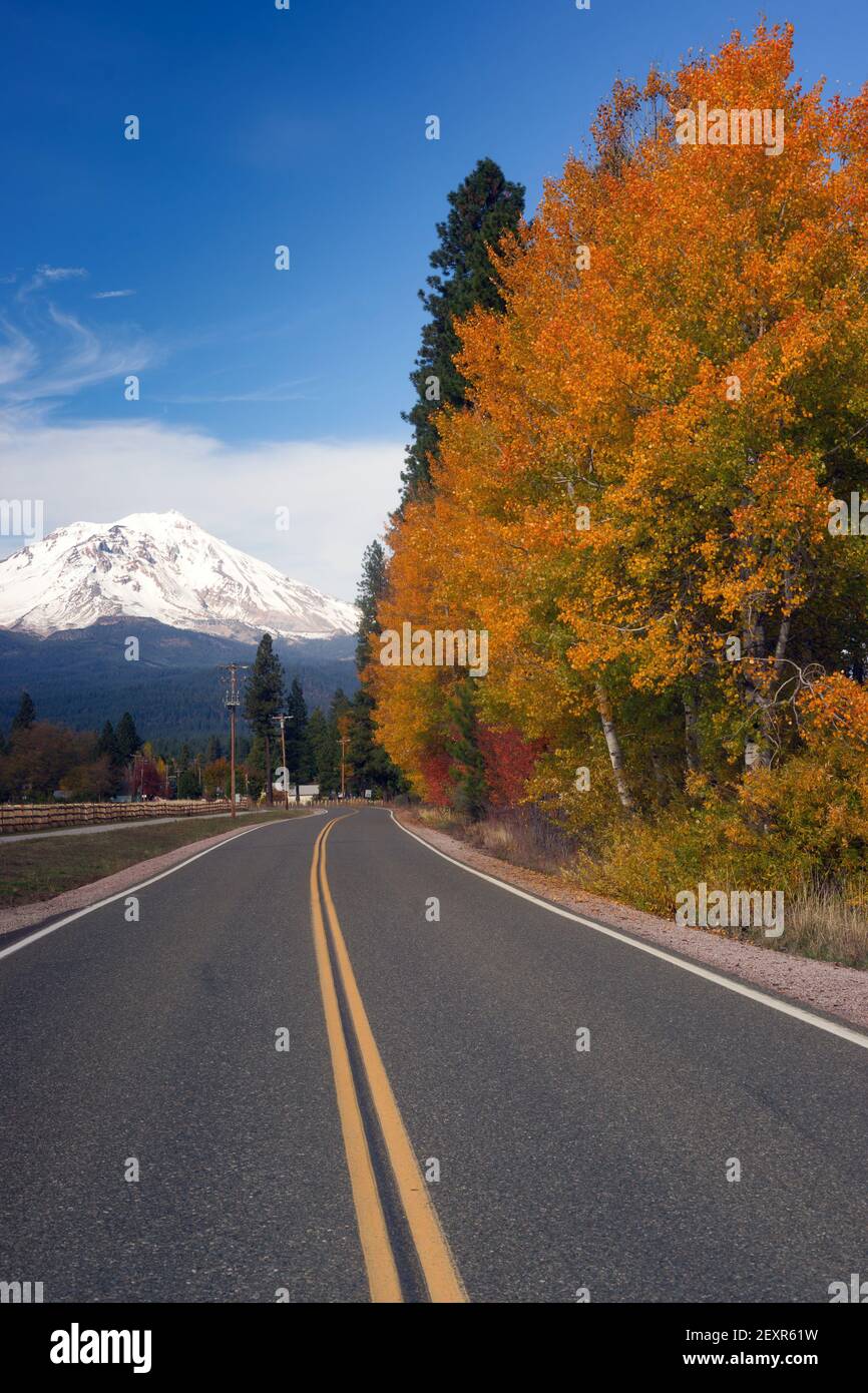 L'automne trouve Foliage Rural Road McCloud California Mount Shasta Banque D'Images