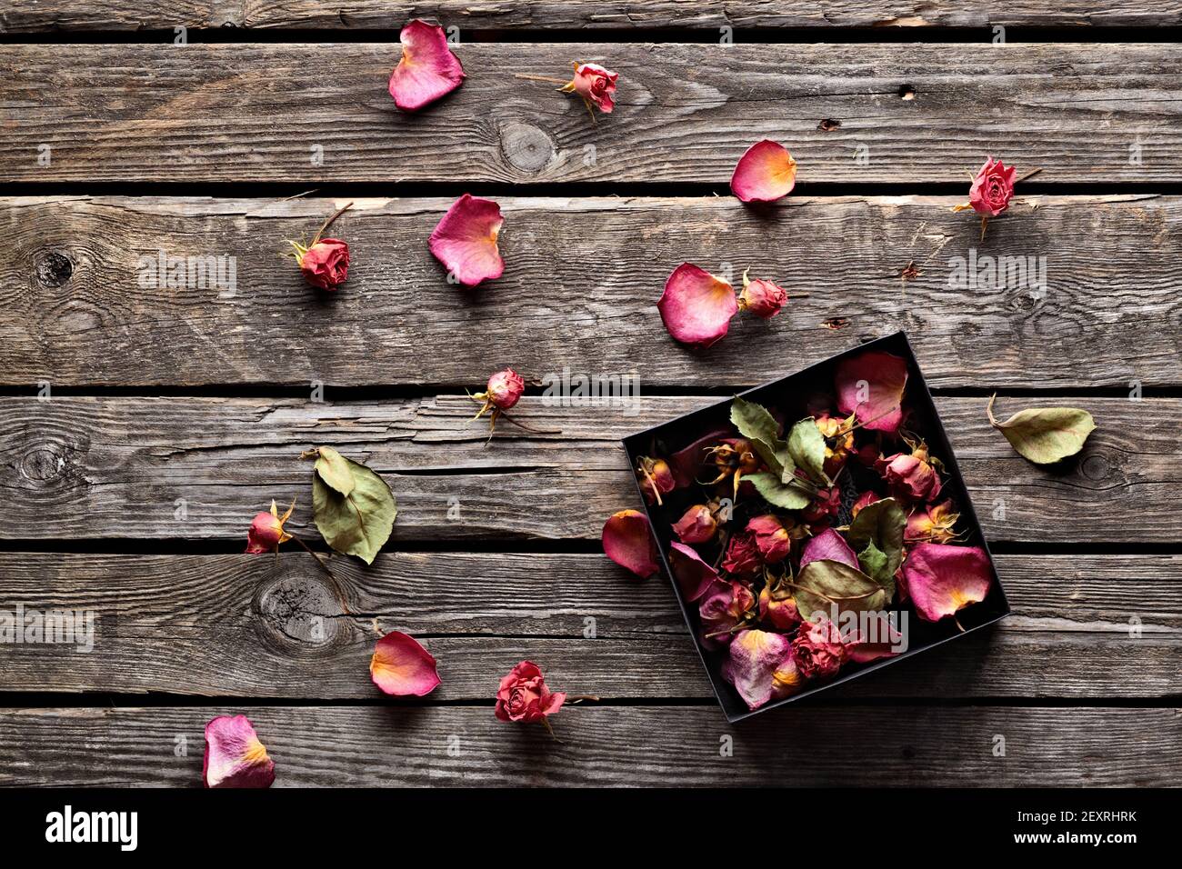 Pétales de rose dans une boîte cadeau ouverte. Banque D'Images