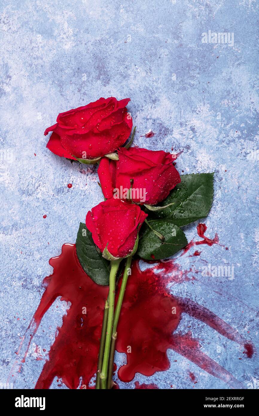Roses rouges et sang sur fond bleu texturé avec espace de copie et espace pour le texte Banque D'Images