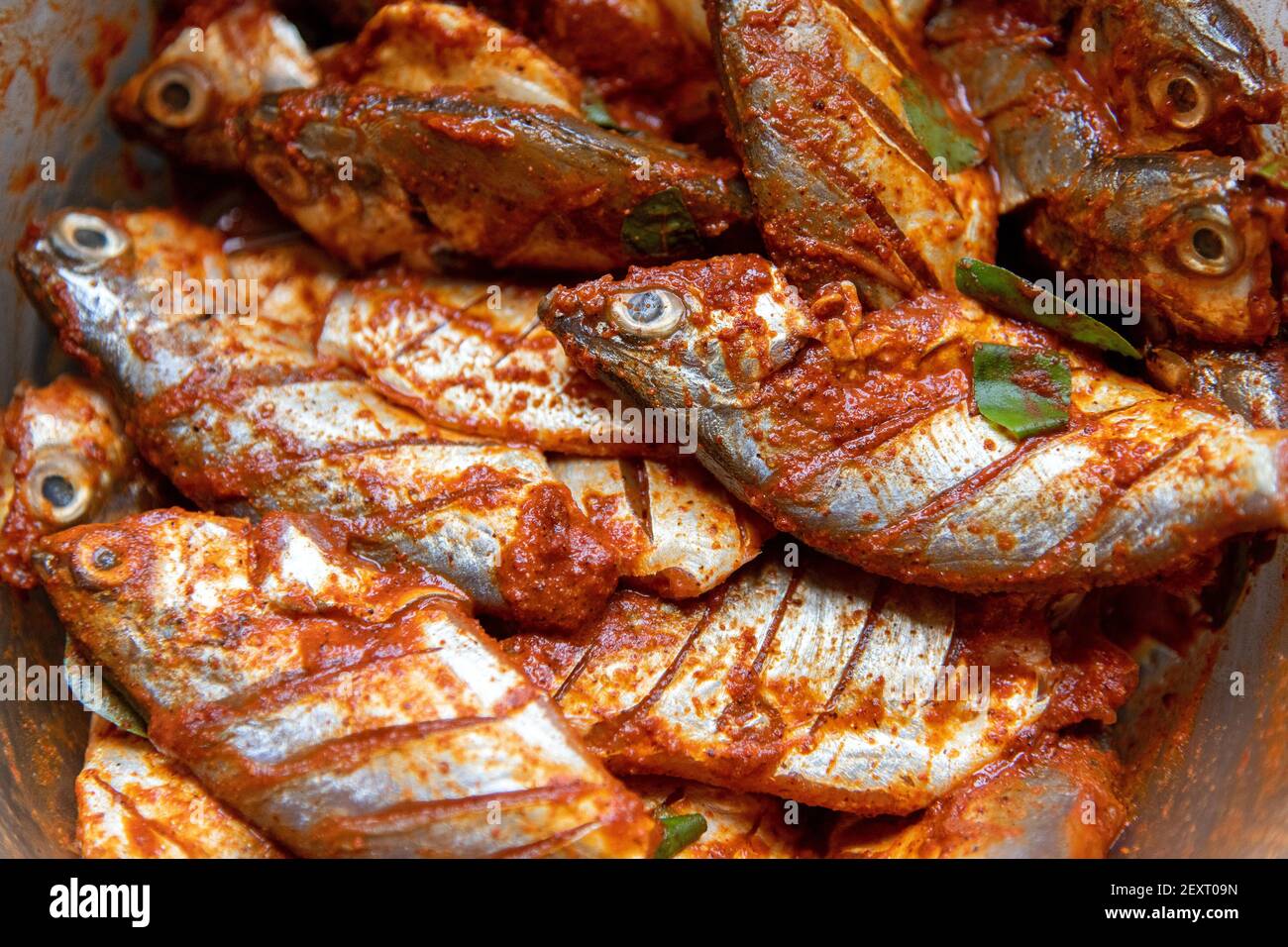 Poissons crus avec pâte de masala et feuilles de curry (Muraya koengii) pour faire des frites de poisson dans le style sud indien qui est épicé Banque D'Images