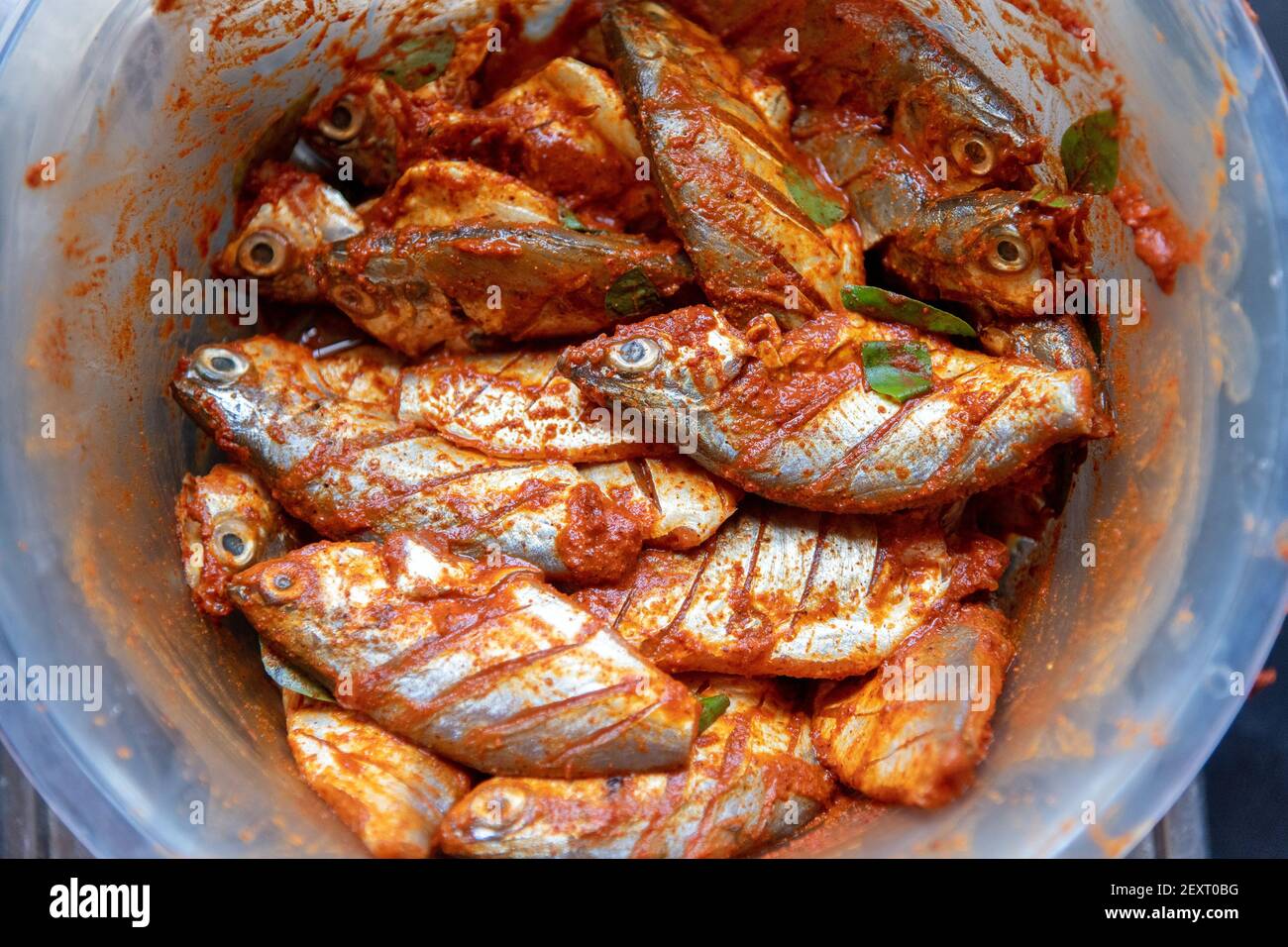 Poissons crus avec pâte de masala et feuilles de curry (Muraya koengii) pour faire des frites de poisson dans le style sud indien qui est épicé Banque D'Images