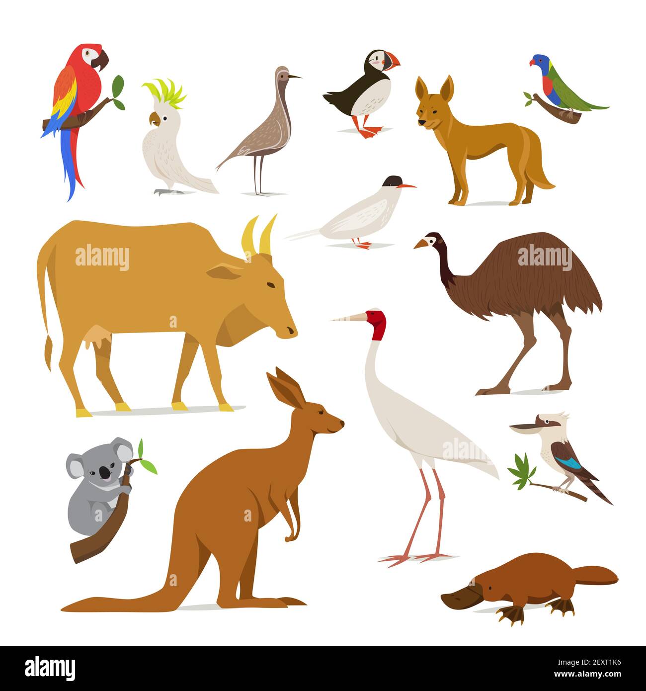 Grand ensemble d'oiseaux et d'animaux d'Australie Illustration de Vecteur