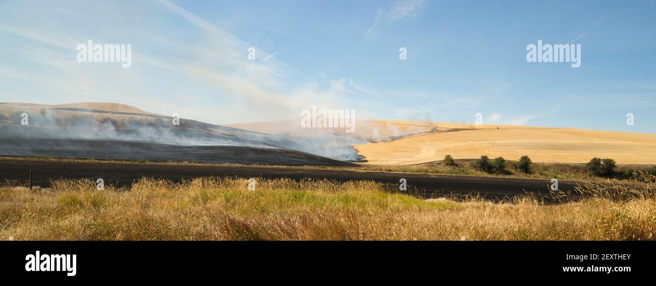 Agriculture agricole Burns tiges de l'usine récolte tracteur d'incendie Banque D'Images