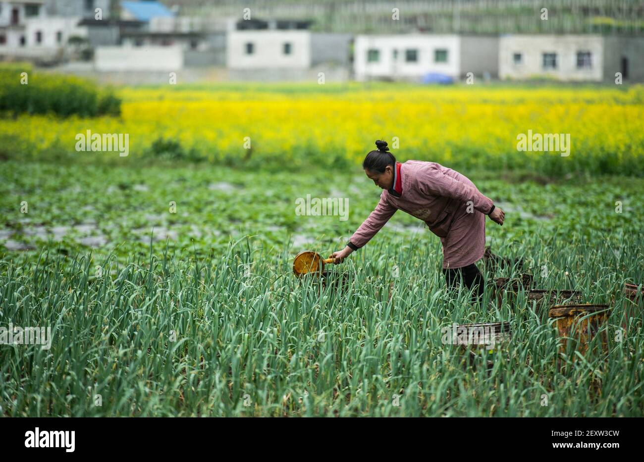 Liuzhi, province chinoise du Guizhou. 5 mars 2021. A famer travaille sur le terrain dans la ville de Liupanshui, dans la province de Guizhou, dans le sud-ouest de la Chine, le 5 mars 2021. Vendredi marque le jour de 'Jingzhe' ou 'Awakening of insectes,' le troisième des 24 termes solaires. On pense que c'est le moment de l'agriculture de printemps. Credit: Tao Liang/Xinhua/Alamy Live News Banque D'Images